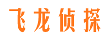 噶尔侦探公司